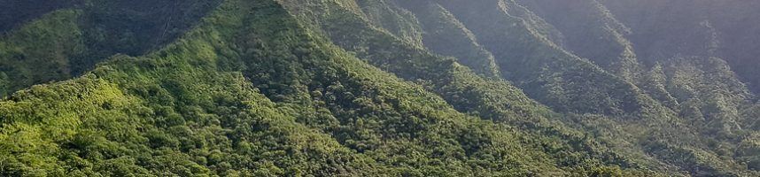 #Dias 16 a 21 – Kauai, a ilha jardim